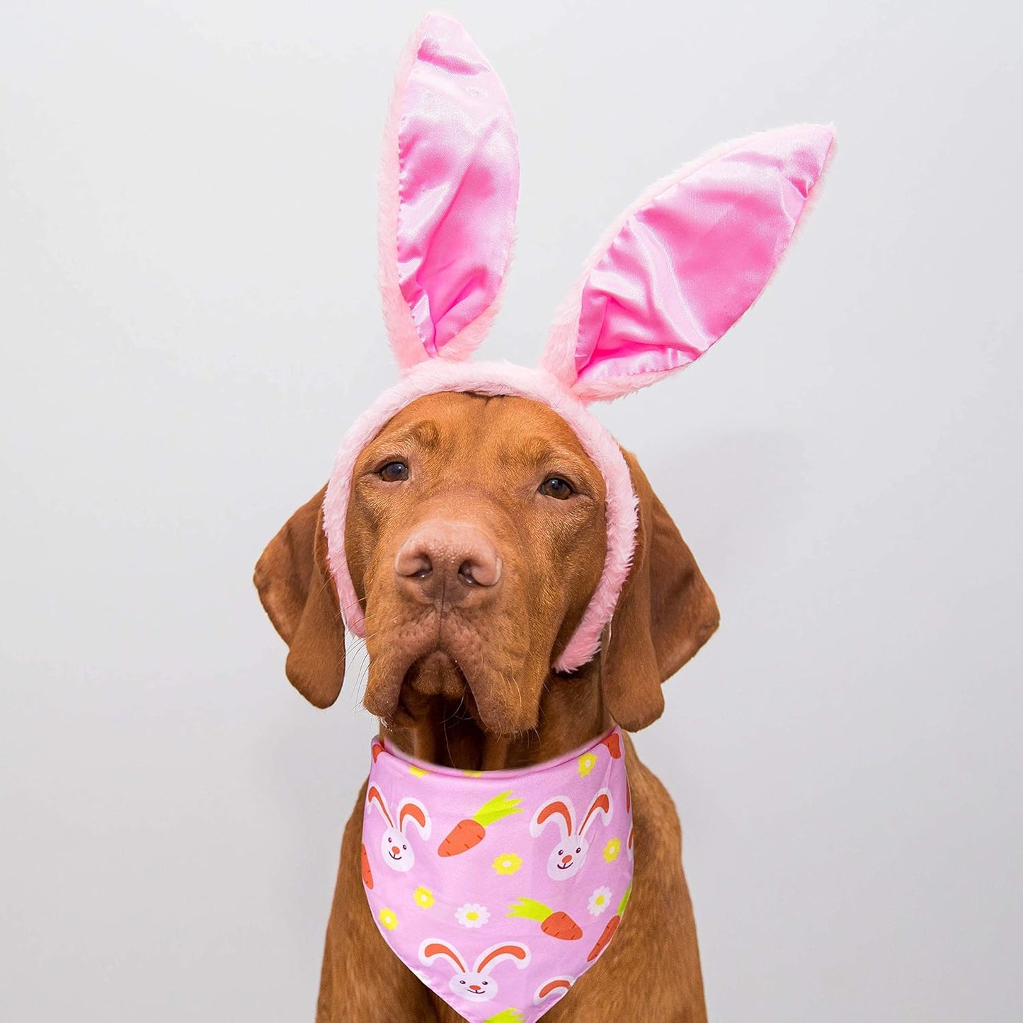 Easter Day Dog Bandana, Holiday Cat Bandana Bunny and Carrot Scarfs for Small Medium Large Dogs Cats Pet Puppies (Hoppy Hour/Pink, Small)