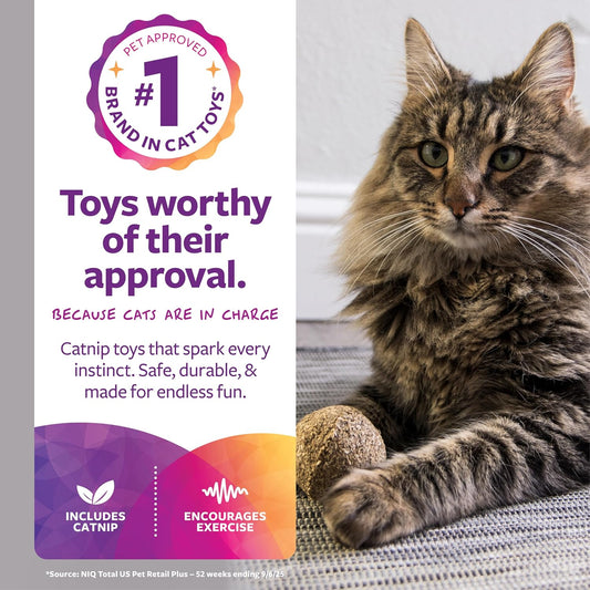 Catnip Toy, Compressed Catnip Ball for Indoor Cats & Kittens, Encourages Play with Less Mess, Cat Toy for All Ages, 5-Pack