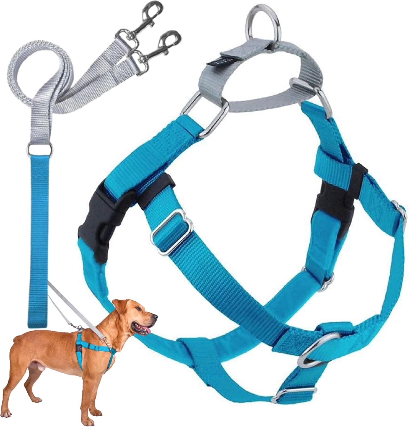 Freedom No Pull Dog Harness, Adjustable Harness and Leash Set, Easy Walking & Comfortable Control, Fits Small, Medium & Large Dogs, Solid Colors, Made in USA, 5/8" MD, Turquoise