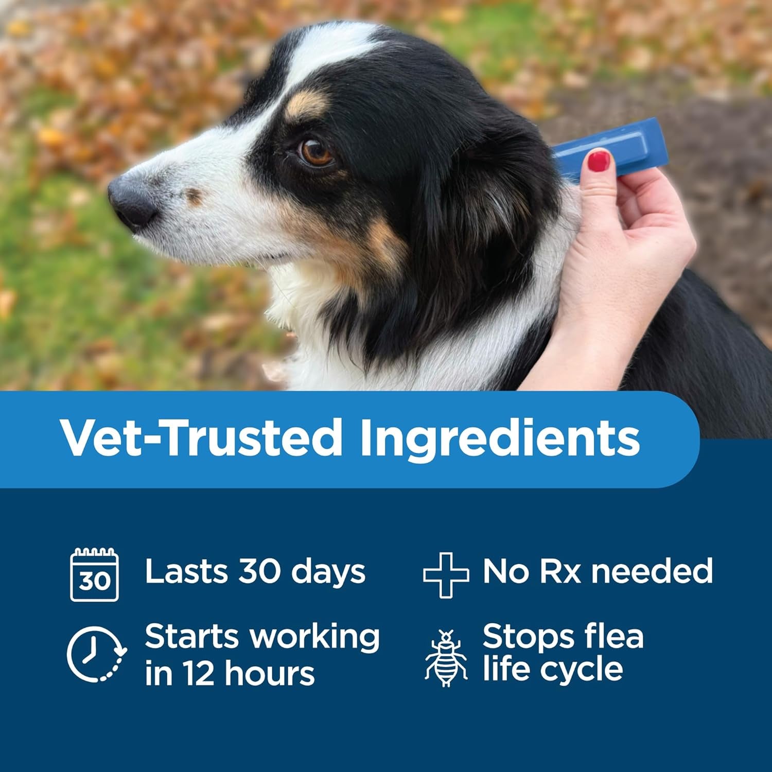 Activate II Flea and Tick Prevention for Dogs | 4 Count | Medium Dogs 11-20 Lbs | Topical Drops | 4 Months Flea Treatment
