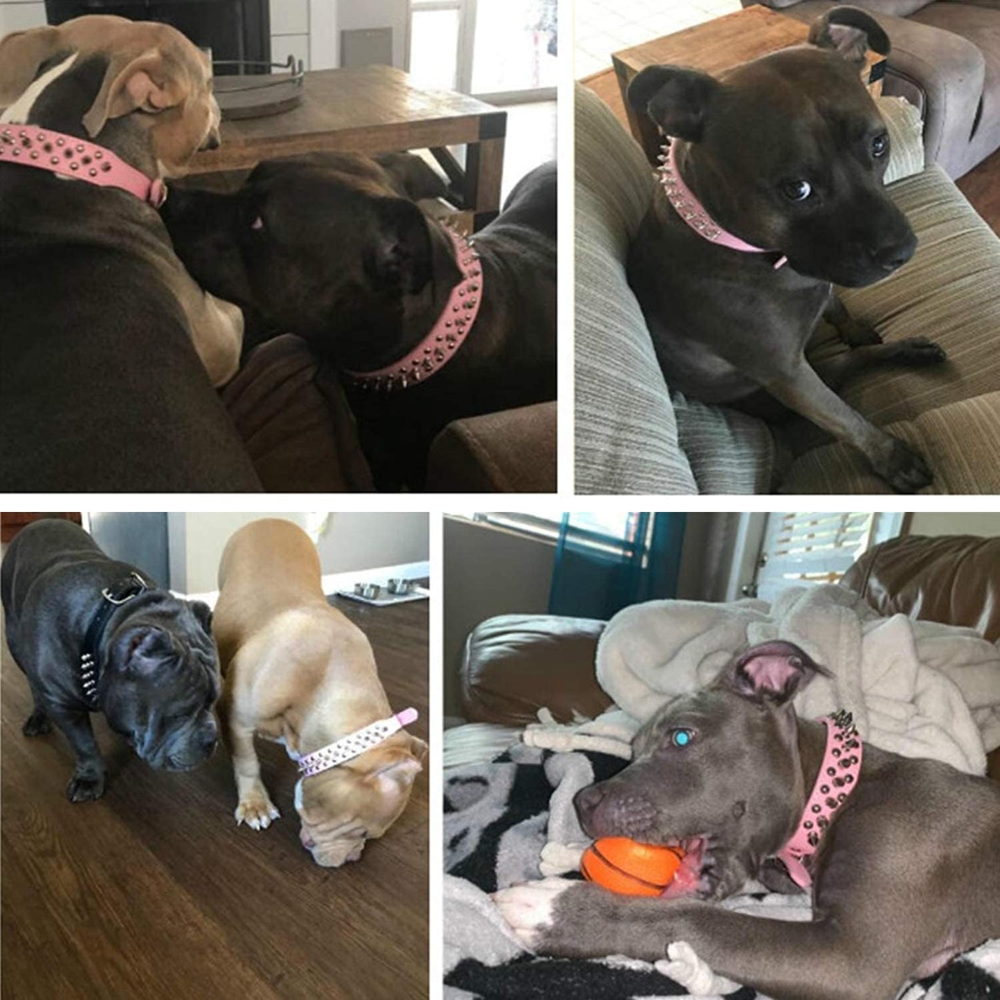Adjustable Leather Spiked Studded Dog Collars with a Squeak Ball Gift for Small Medium Large Pets like Cats/Pit Bull/Bulldog/Pugs/Husky, Pink, XL 17.7-20.5 Inches