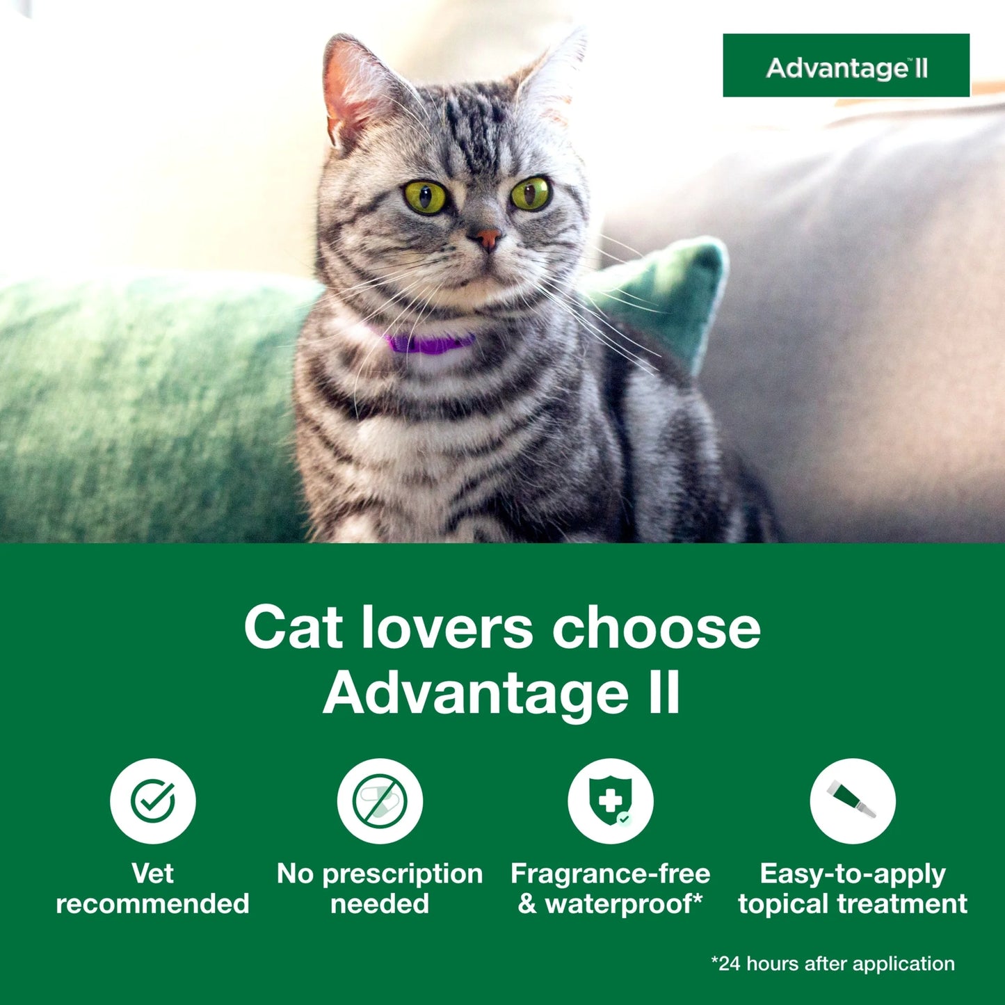 (2 Pack)  Vet-Recommended Flea Prevention for Small Cats 5-9 Lbs, 6-Monthly Treatments