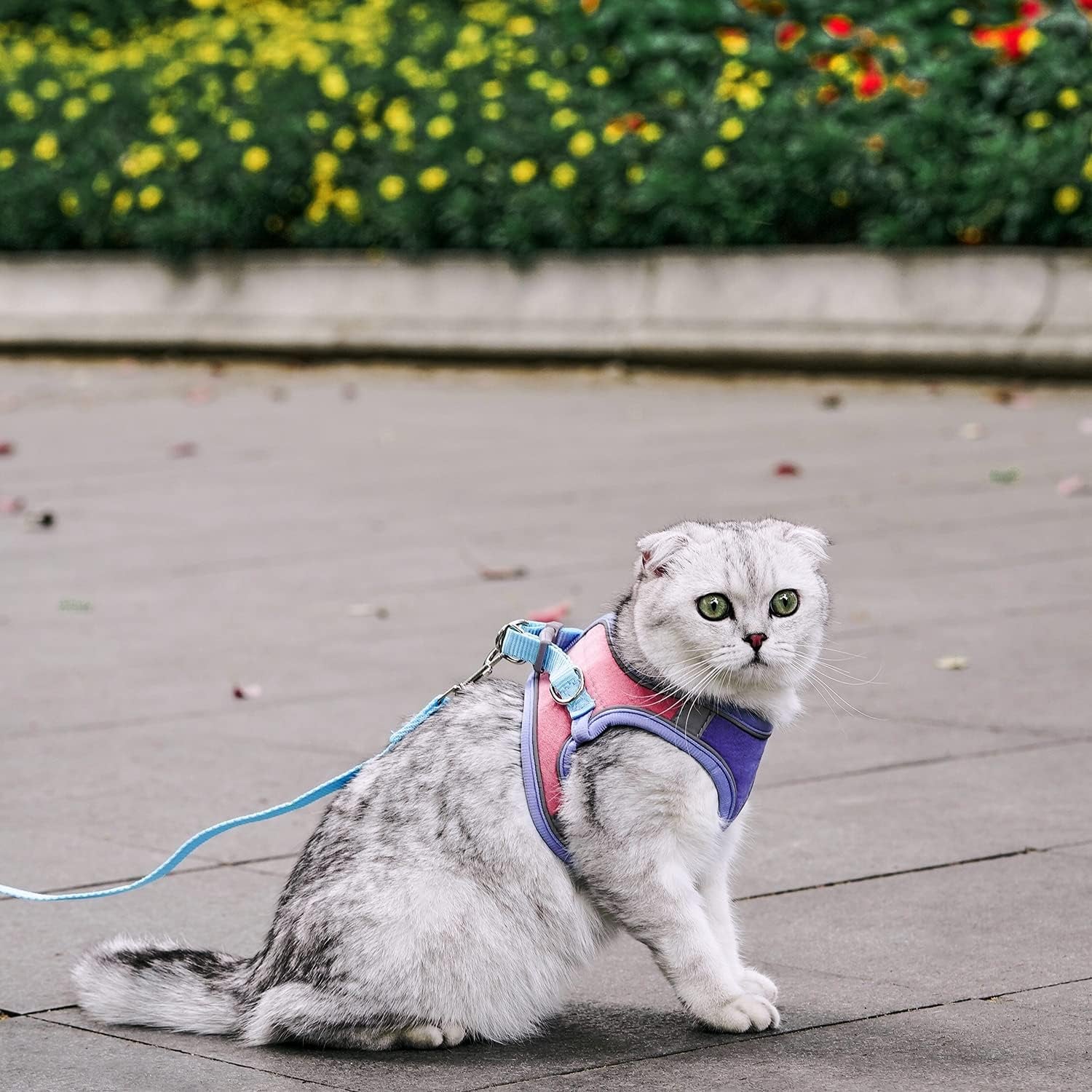 Cat Harness,Leash and Collar Set,Escape Proof Kitten Vest Harness for Walking,Easy Control Night Safe Pet Harness with Reflective Strap and Bell for Small Large Kitten,Fit for Puppy,Rabbit
