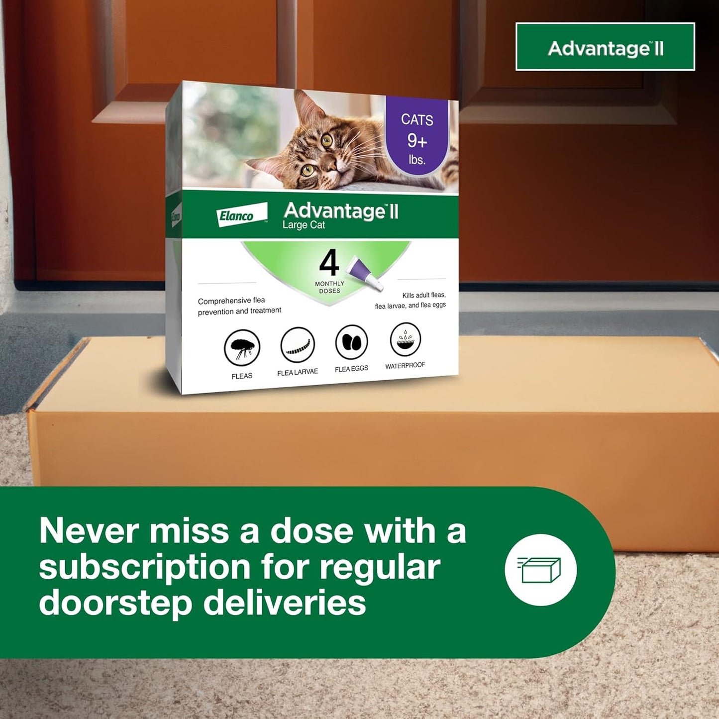 II Large Cat Vet-Recommended Flea Treatment & Prevention | Cats over 9 Lbs. | 4-Month Supply