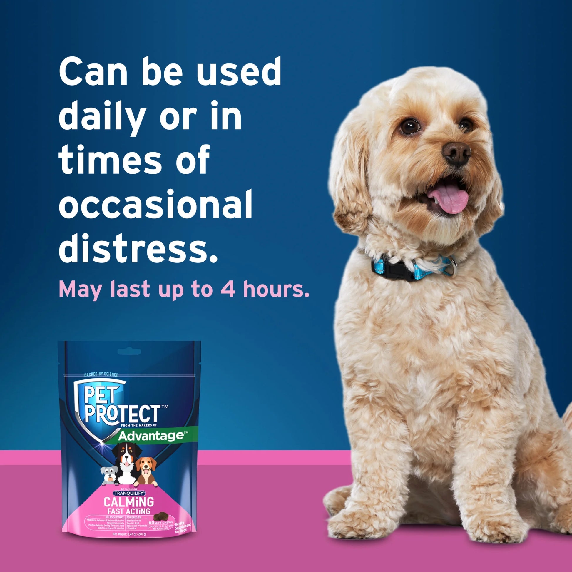 Fast-Acting Calming Chews for Dogs, Vet-Formulated Tranquilify, Chicken, 60 Soft Chews