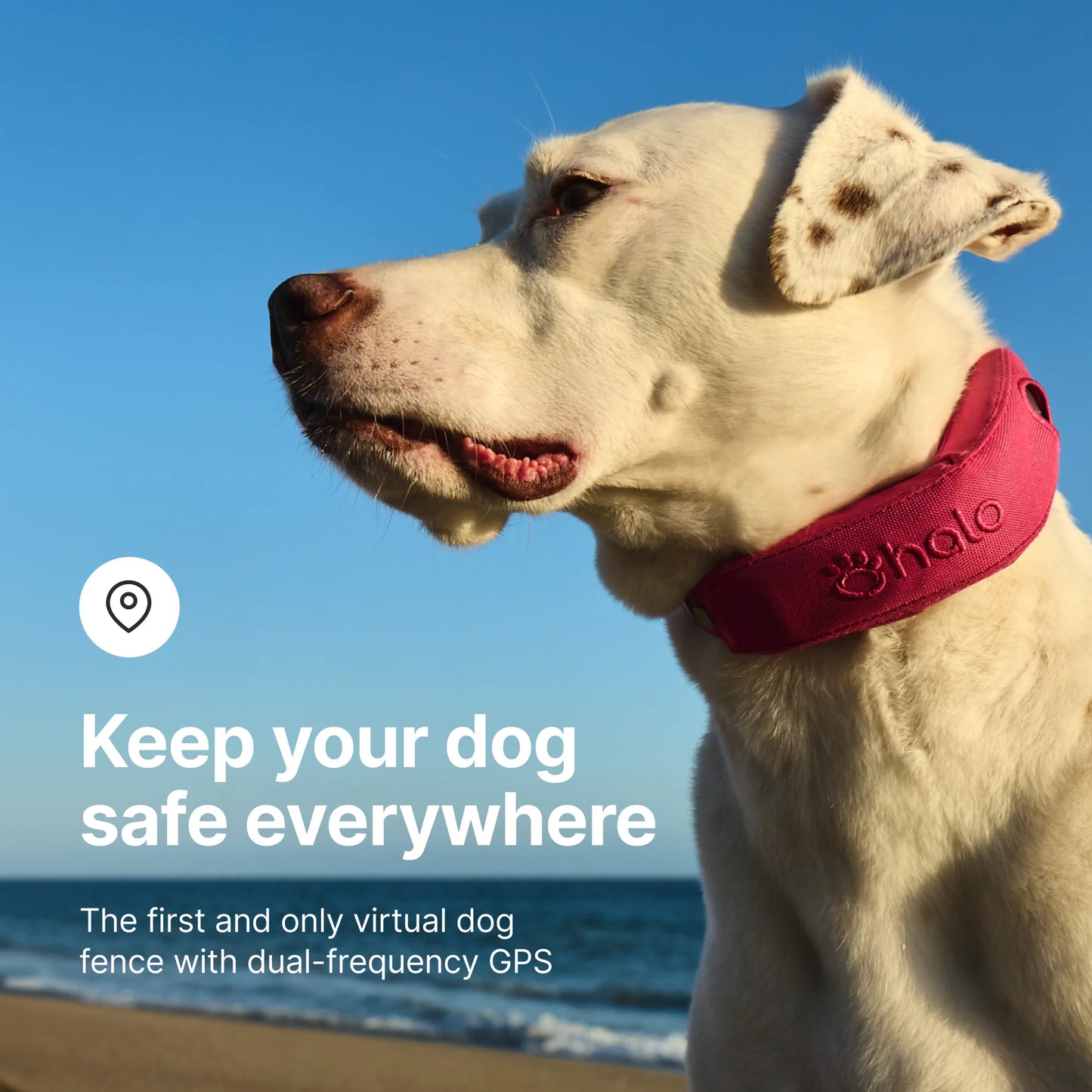Halo Collar 4, All New GPS Wireless Dog Fence with Real-Time Tracking (Orchid)