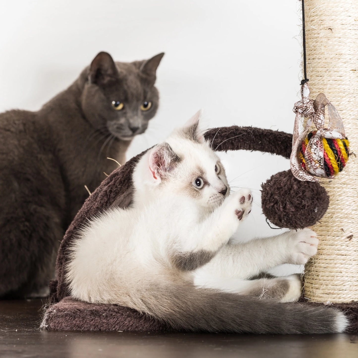35In Cat Tree with Ladder, House, Scratch Posts, and Toy (Brown)