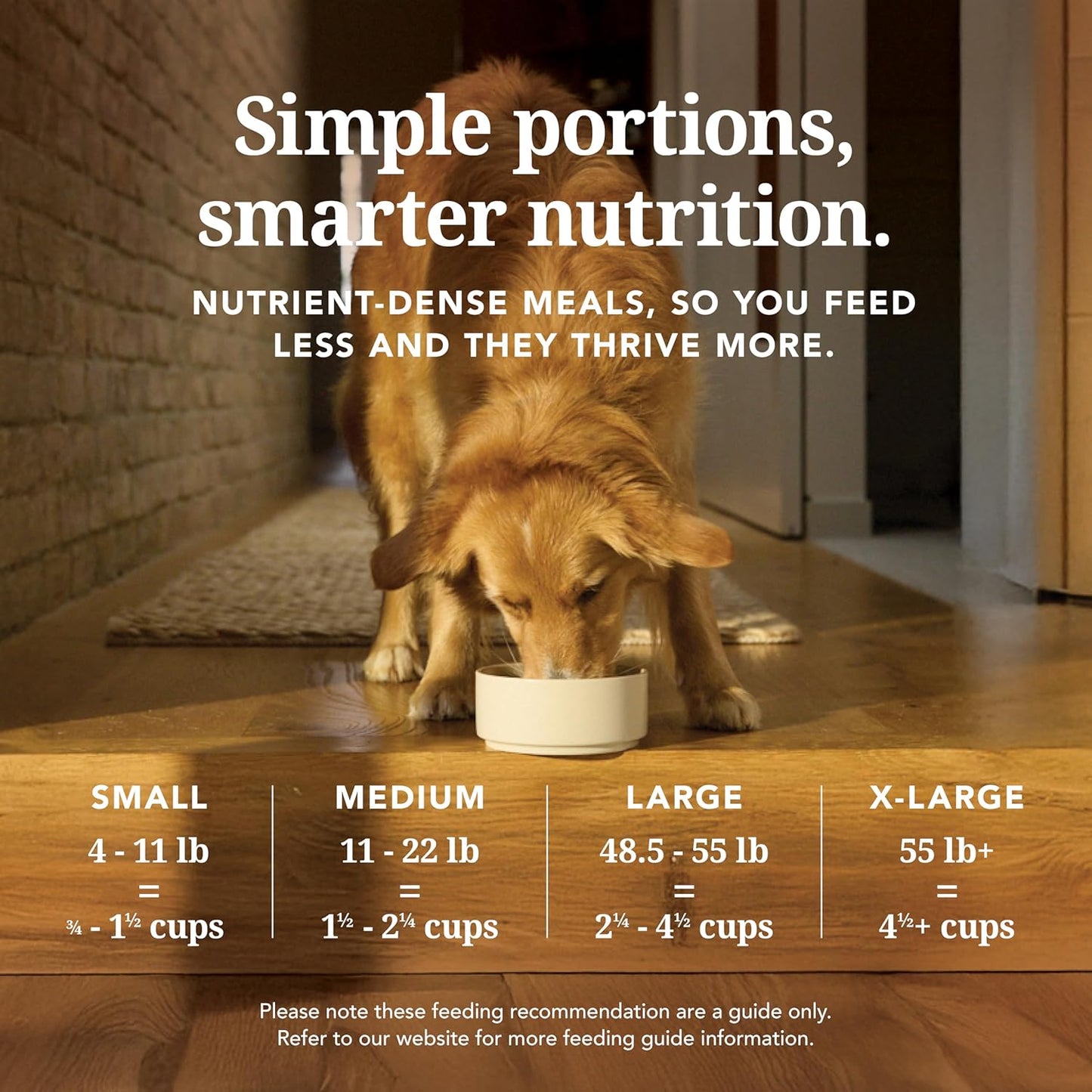 - Grain Free Freeze Dried Dog Food Topper - Lamb & Salmon, 3.5Oz