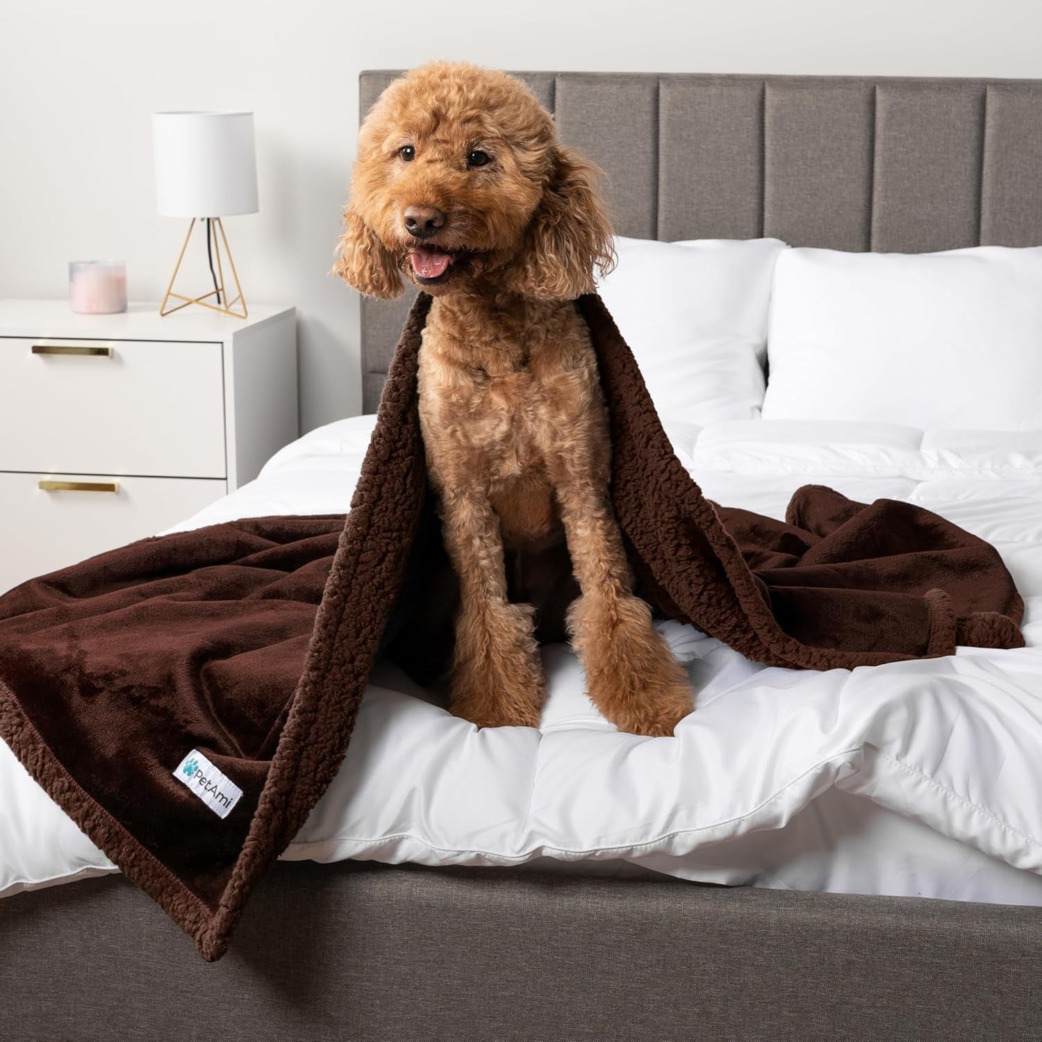 Waterproof Dog Blanket for Medium Large XL Dog Puppy Cat Throw for Couch Cover Leakproof Protection, Sherpa Fleece, Reversible Soft Washable 80X60 Brown Brown