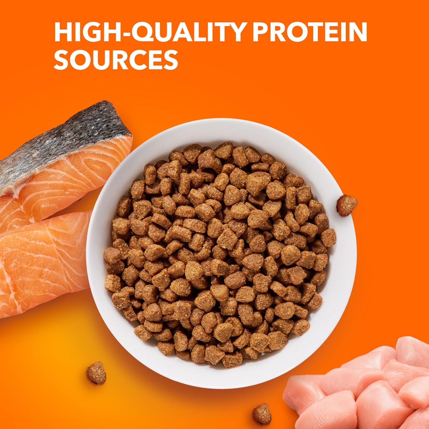 Proactive Health Adult Healthy Dry Cat Food with Real Salmon, 7 Lb. Bag