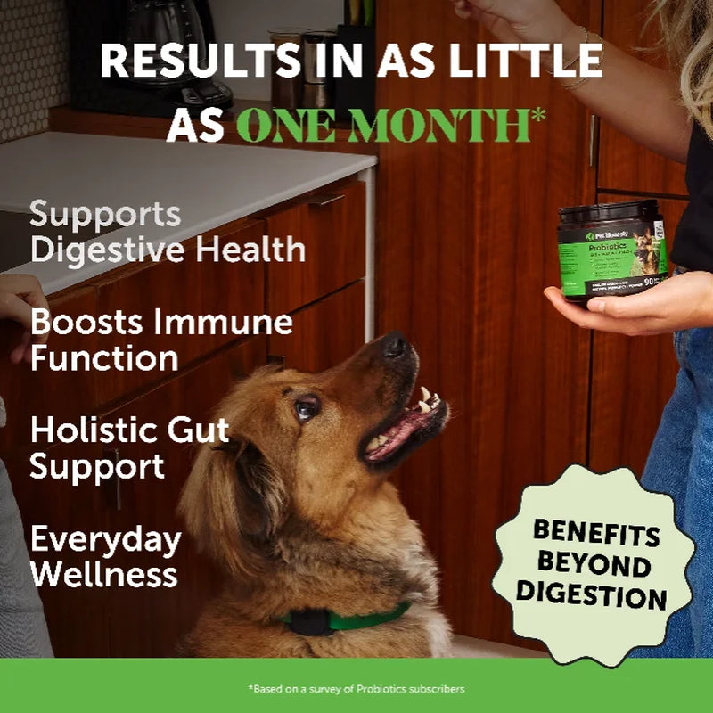 Gut + Immune Health Digestive Probiotic Chews for Dogs (Pumpkin Flavor)