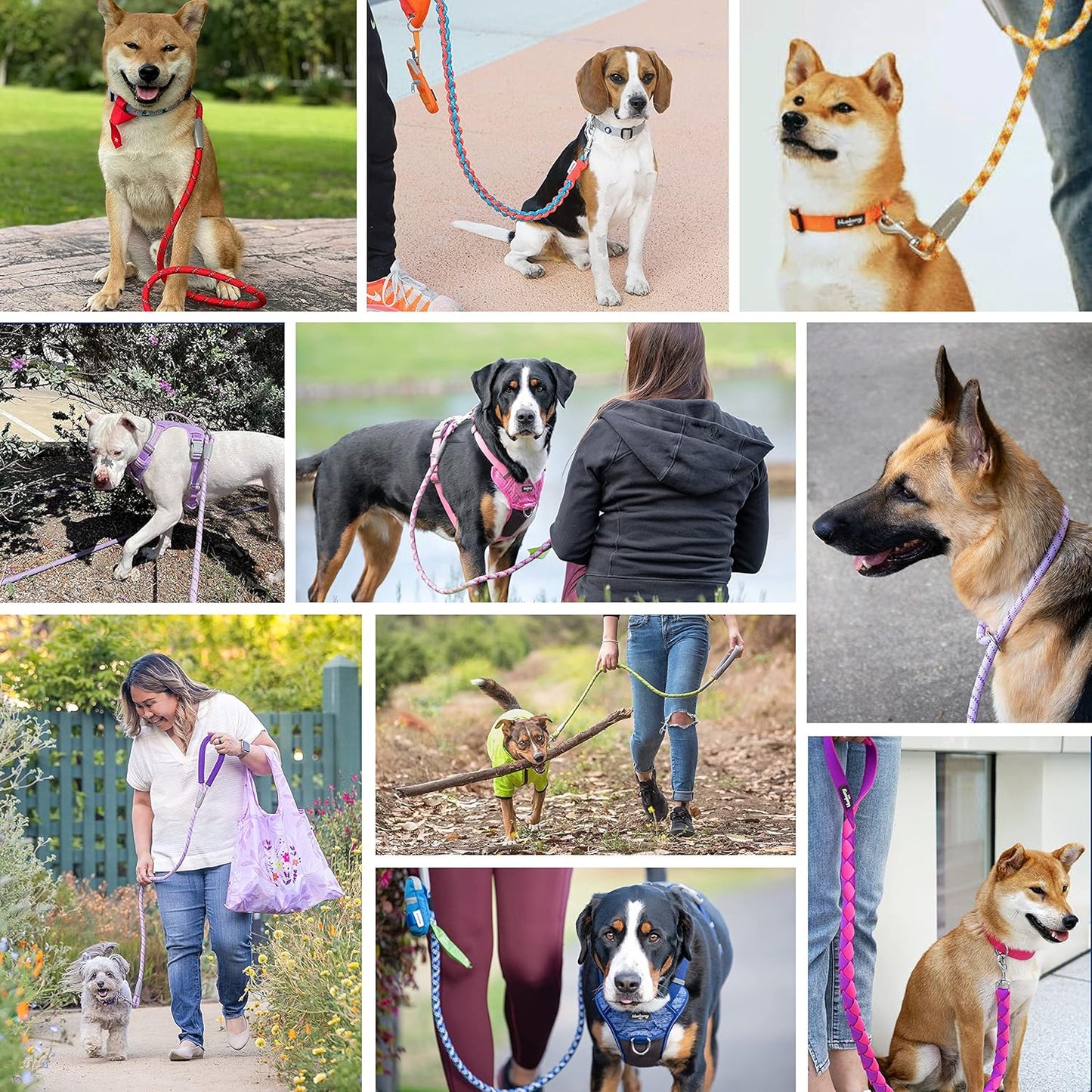 Essentials Rope Leash 4 Ft Heavy Duty, Neoprene-Padded Grip, Eco-Friendly & Durable in Turquoise for Medium & Large Dogs