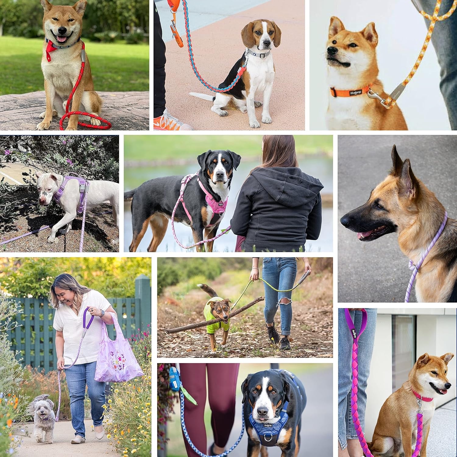 Essentials Rope Leash 4 Ft Heavy Duty, Neoprene-Padded Grip, Eco-Friendly & Durable in Turquoise for Medium & Large Dogs
