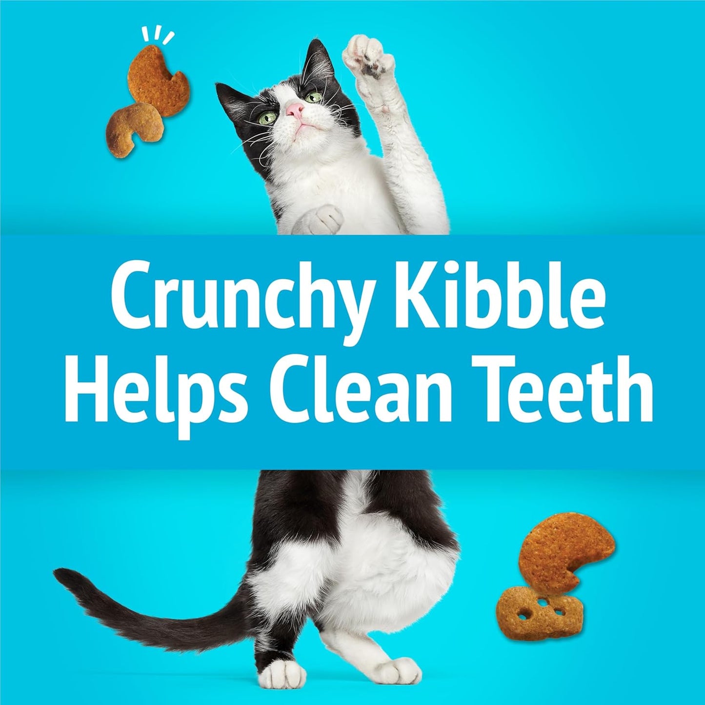 Purina  Cat Treats, Party Mix Lobster & Mac 'N' Cheese Flavors - (Pack of 10) 2.1 Oz. Pouches