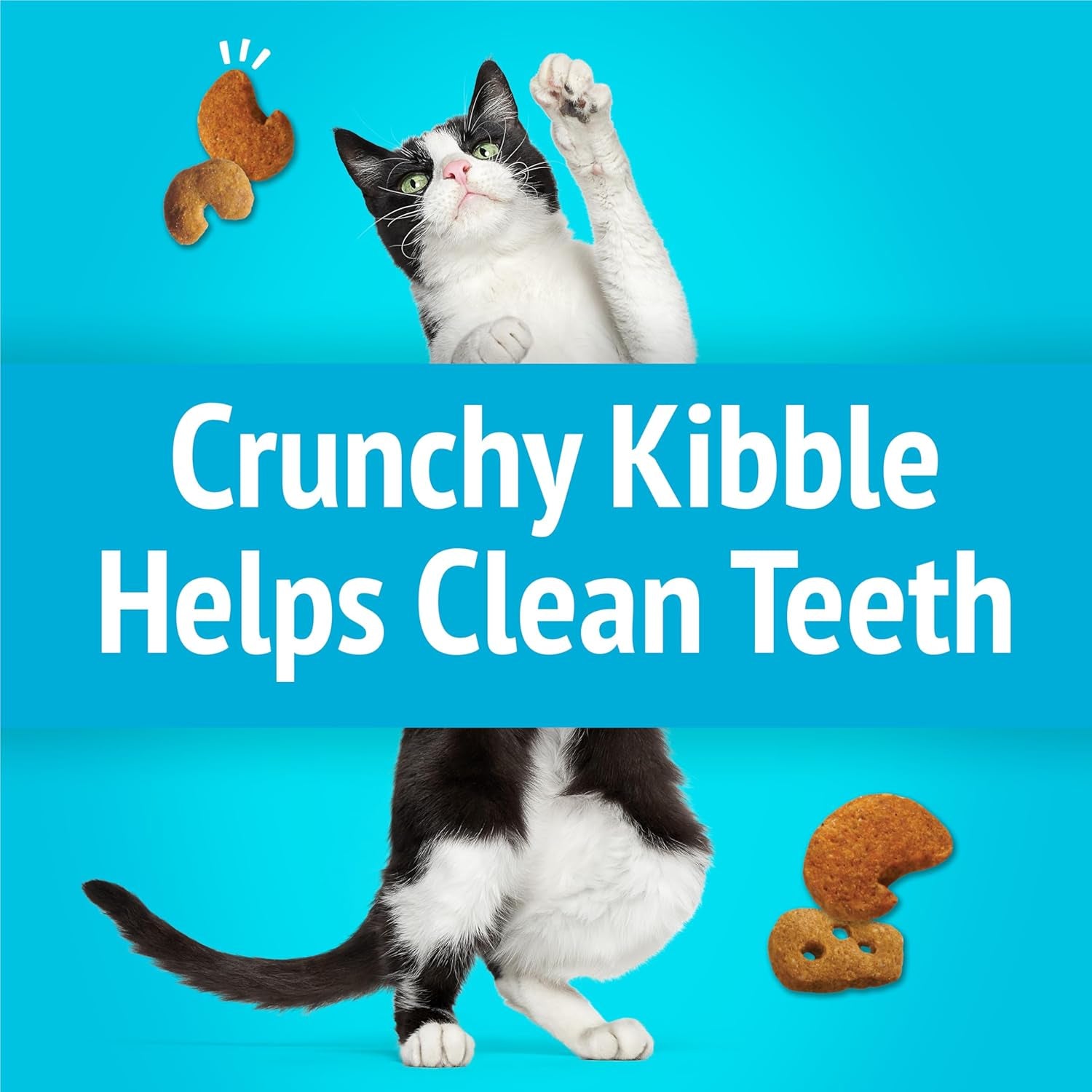 Purina  Cat Treats, Party Mix Lobster & Mac 'N' Cheese Flavors - (Pack of 10) 2.1 Oz. Pouches