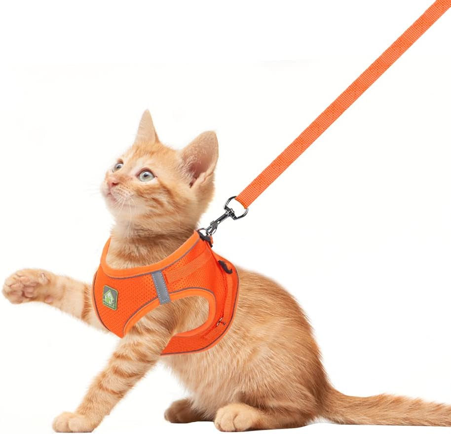 Dog Harness and Leash Set, No Pull Breathable Soft Mesh Puppy Vest Harness Reflective Adjustable Pet Harnesses for Small Medium Dogs and Cats - Outdoor Easy Control for Walking
