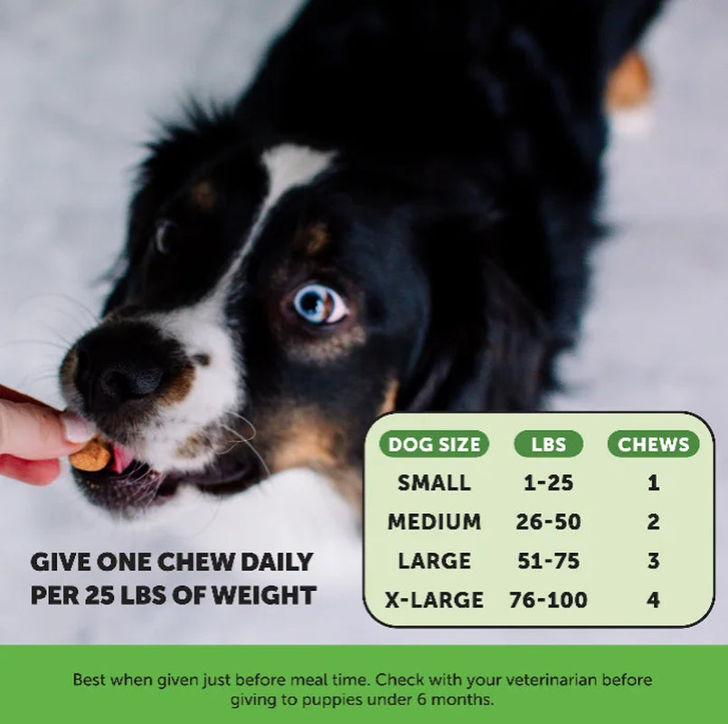 Gut + Immune Health Digestive Probiotic Chews for Dogs (Pumpkin Flavor)