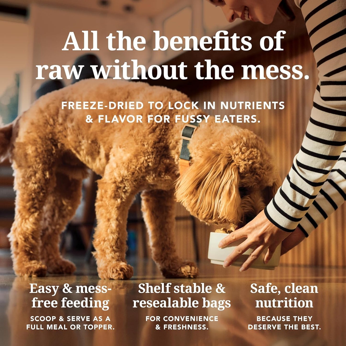 - Grain Free Freeze Dried Dog Food Topper - Chicken, 3.5Oz