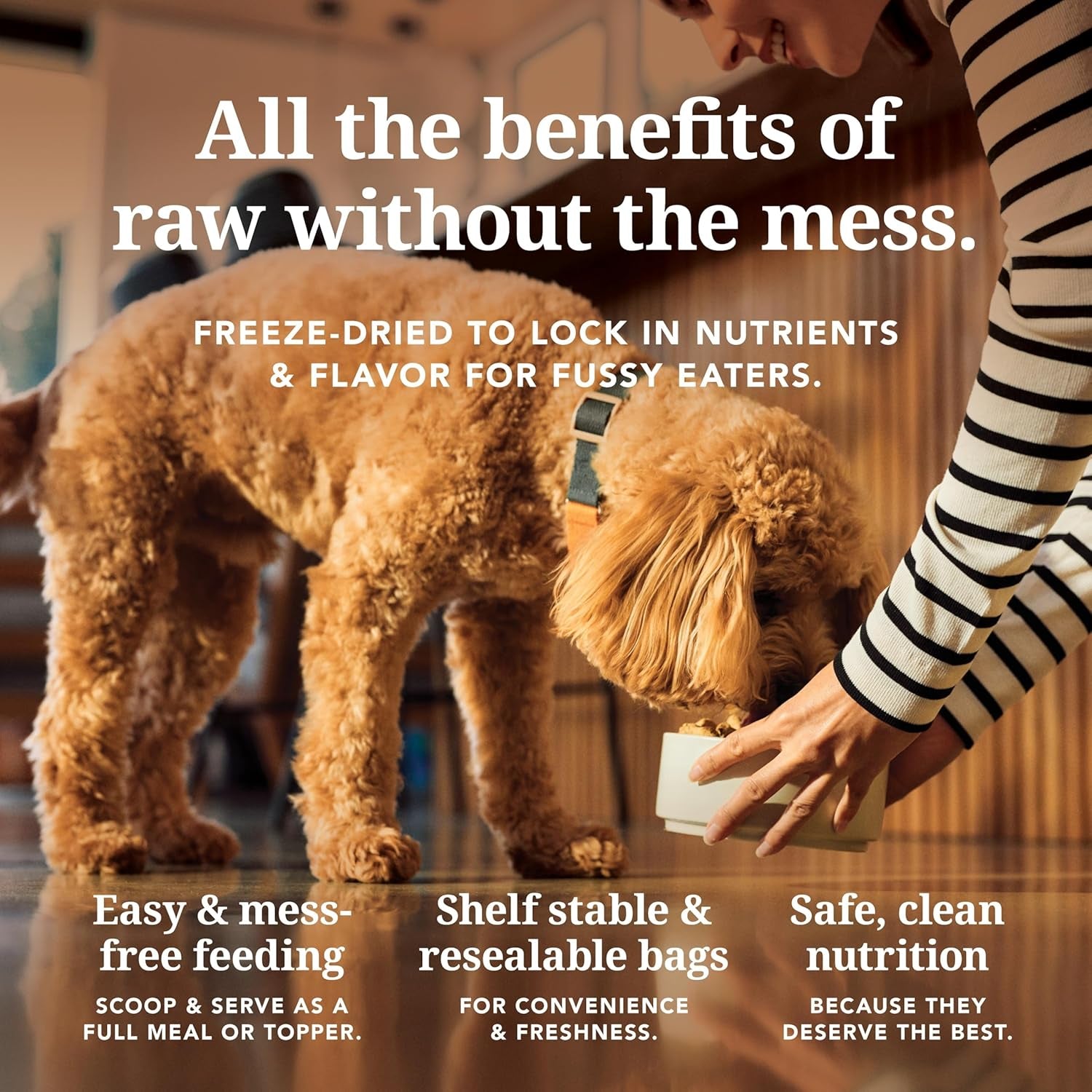 - Grain Free Freeze Dried Dog Food Topper - Chicken, 3.5Oz