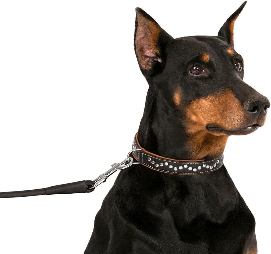 Studded Dog Collar Leather Pet Collars for Dogs Small Medium Large Puppy Soft Padded Brown Black (Brown, Neck Fit 17" - 19")
