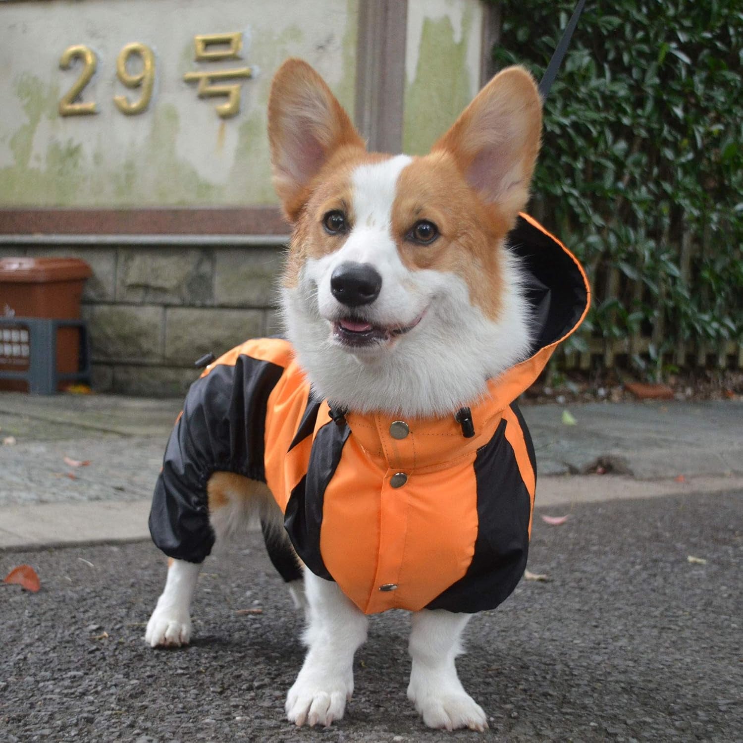 Dog Hooded Raincoat, Large Dog Rain Jacket Poncho Waterproof Clothes with Hood Breathable 4 Feet Four Legs Rain Coats for Small Medium Large Pet Dogs Orange L-M