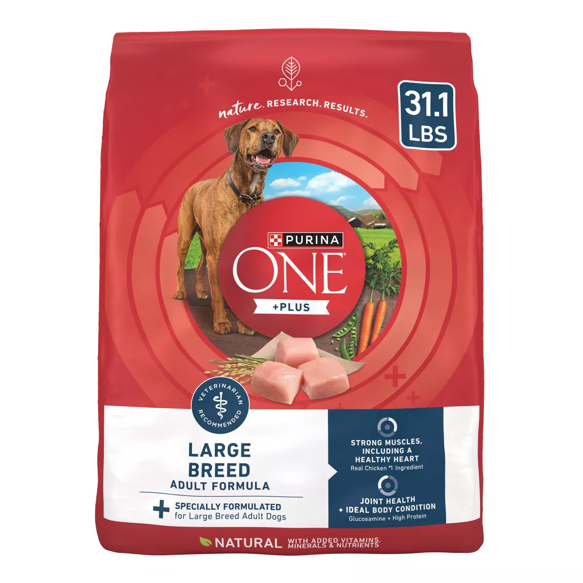 Purina ONE Smartblend Large Breed Chicken Flavor Natural Dry Dog Food