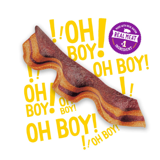 Purina  Strips Dog Treats with Real Bacon & Peanut Butter Flavors Tender Chews, 25 Oz Pouch