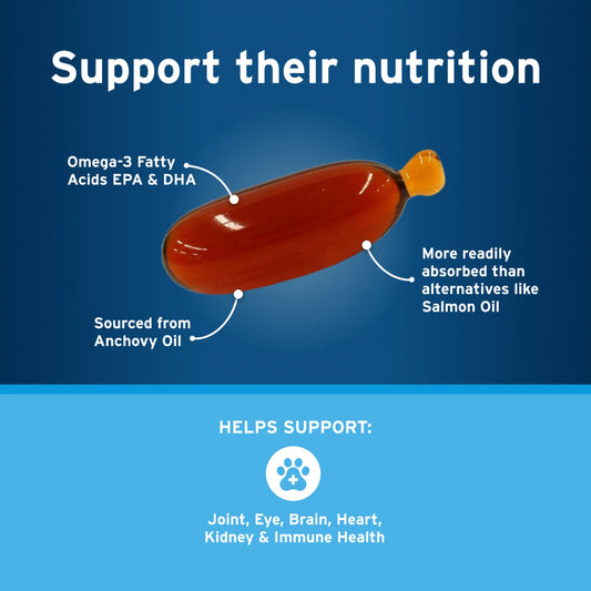 Cat & Small Dog Omega-3 Supplement, Free Form Blend, 60 Snip-Tip Capsules