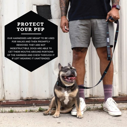 Wolfgang Heavy Duty Adjustable Dog Harness, Pull-Tested to over 800 Lbs for Walking & Training, Nightowl Print, Small