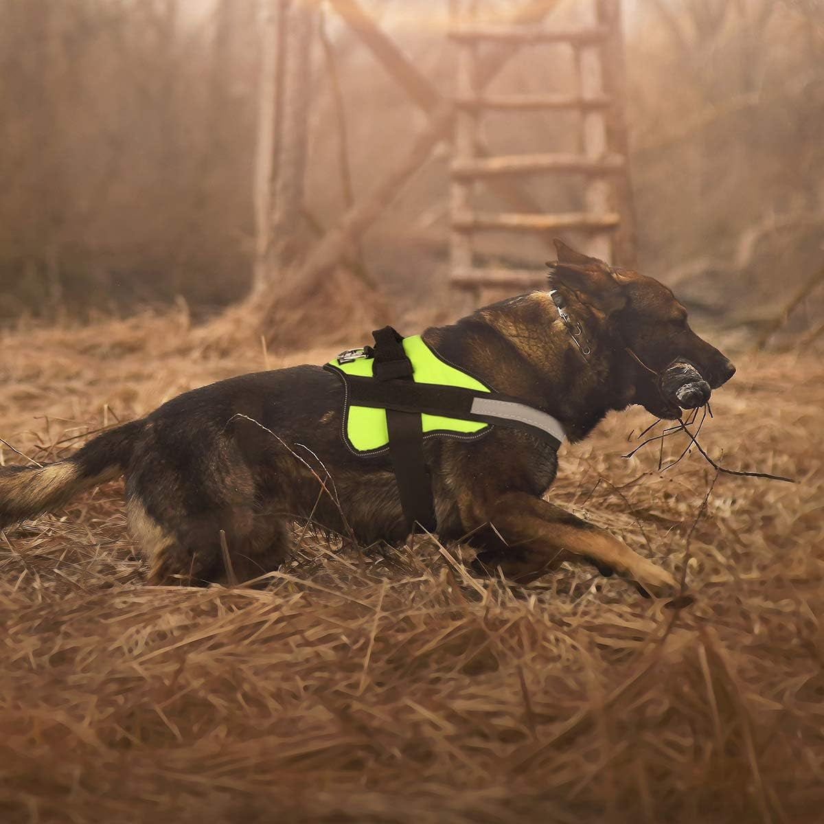 Dog Harness, No-Pull Reflective Dog Vest, Breathable Adjustable Pet Harness with Handle for Outdoor Walking - No More Pulling, Tugging or Choking (Green, S)