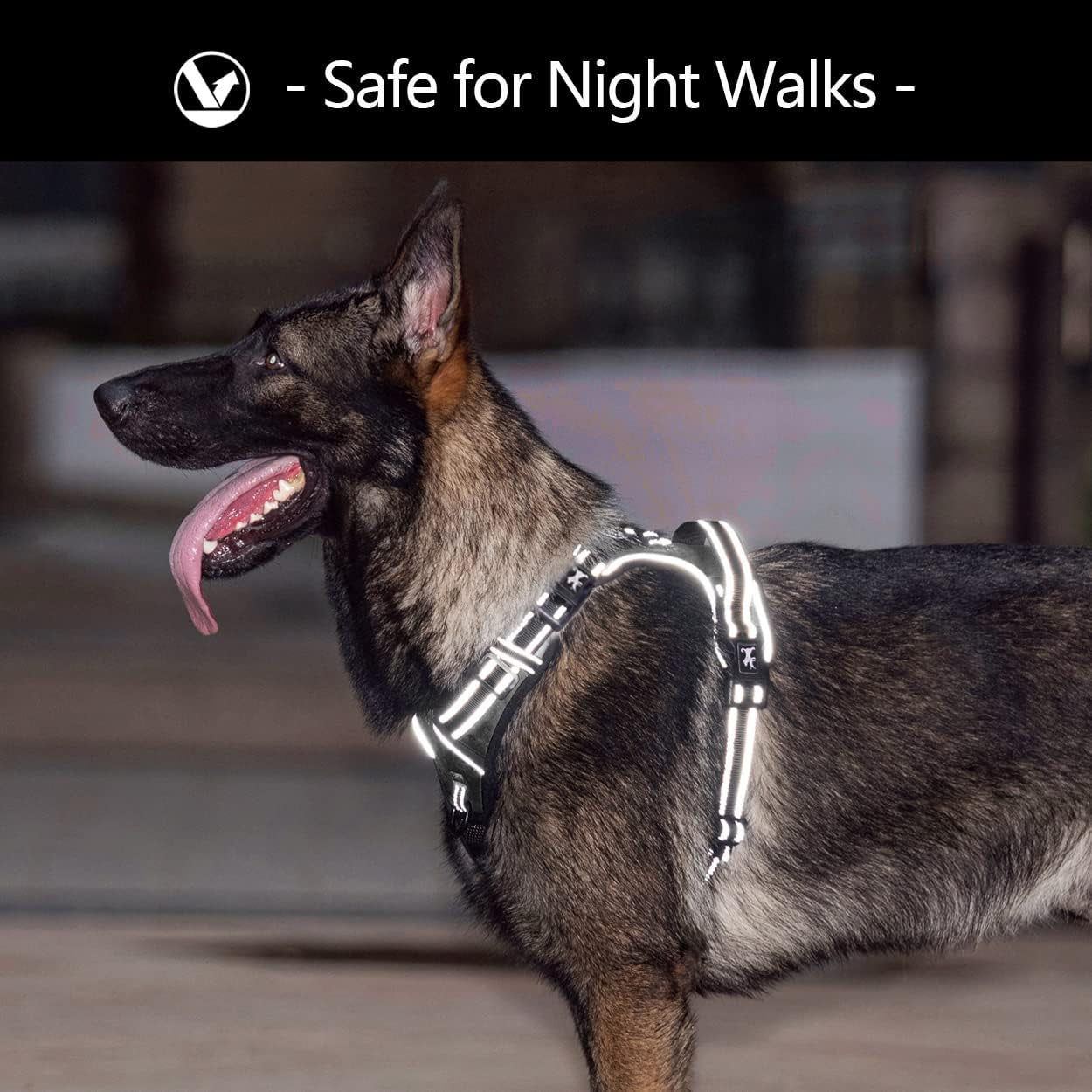 No Pull Dog Harness with 4 Buckles for Puppy Small Dogs (Black,S)