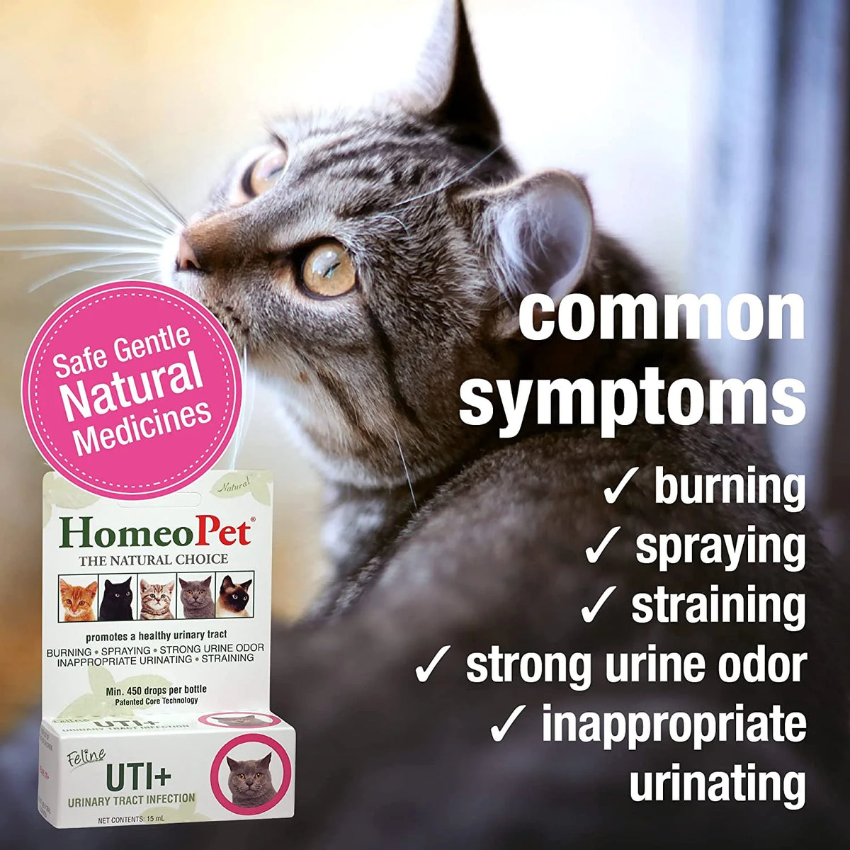 Feline UTI plus Urinary Tract Health Supplement Solution for Cats, 15-Milliliter Bottle