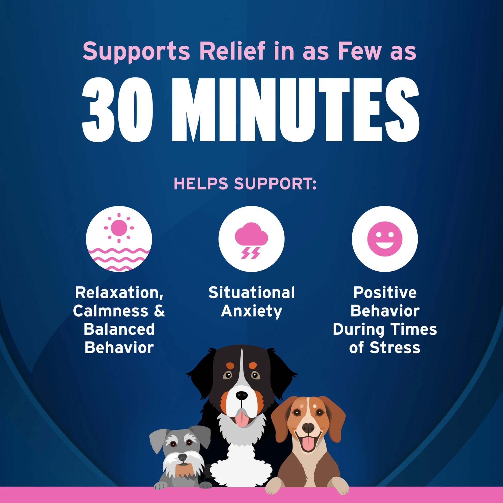 Fast-Acting Calming Chews for Dogs, Vet-Formulated Tranquilify, Chicken, 60 Soft Chews