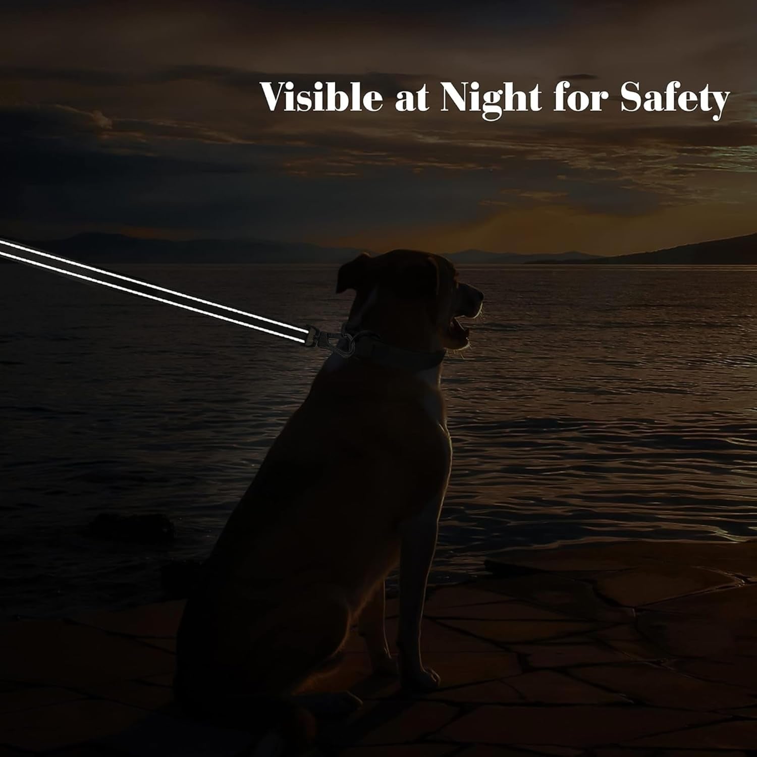 6FT Heavy Duty Dog Leash with Soft Padded Double Handle, Durable Strong Clasp Dog Leashes, Reflective Nylon Walking Lead for Large,Medium,Small Breed Dogs, Black