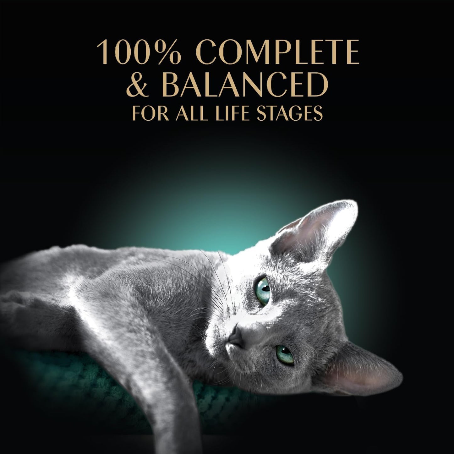 Perfect Portions Wet Cat Food Pate with Sustainable Salmon, Signature Seafood Entree, and Tender White Fish and Tuna Entree Variety Pack, 2.6 Oz. Twin Pack Trays (24 Count, 48 Servings)