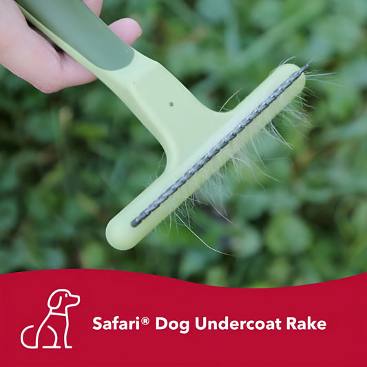 Safari Dog Single Row Undercoat Rake - Undercoat Brush for Dogs with Medium and Long Hair - Dog Detangler Comb and Dematting Brush - Single Row