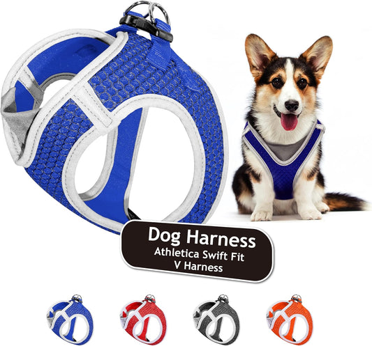 Kruz Dog Harness (Chest 18.5"-19.5", Weight 15–20 Lbs) Athletica Adjustable Heavy Duty No Choke Puppy Vest for Small Dogs Lightweight Air Mesh, Reflective, Puppy Essentials – Blue, Large