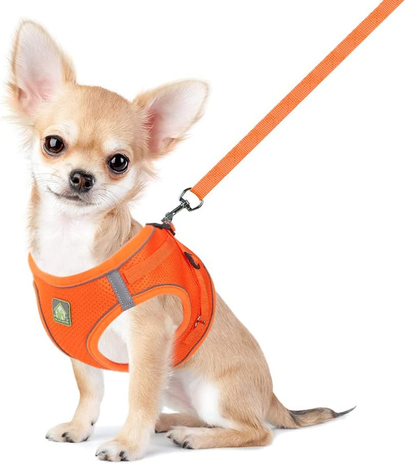 Dog Harness and Leash Set, No Pull Breathable Soft Mesh Puppy Vest Harness Reflective Adjustable Pet Harnesses for Small Medium Dogs and Cats - Outdoor Easy Control for Walking