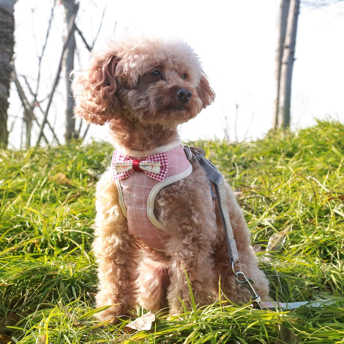 Puppy Harness Easy to Put on & Take off Step in Dog Harness, Puppy Soft Padded Mesh Front Vest with Leash, Adjustable Pets No-Pull Walking Harness with Cute Bows for Small Dogs and Cats