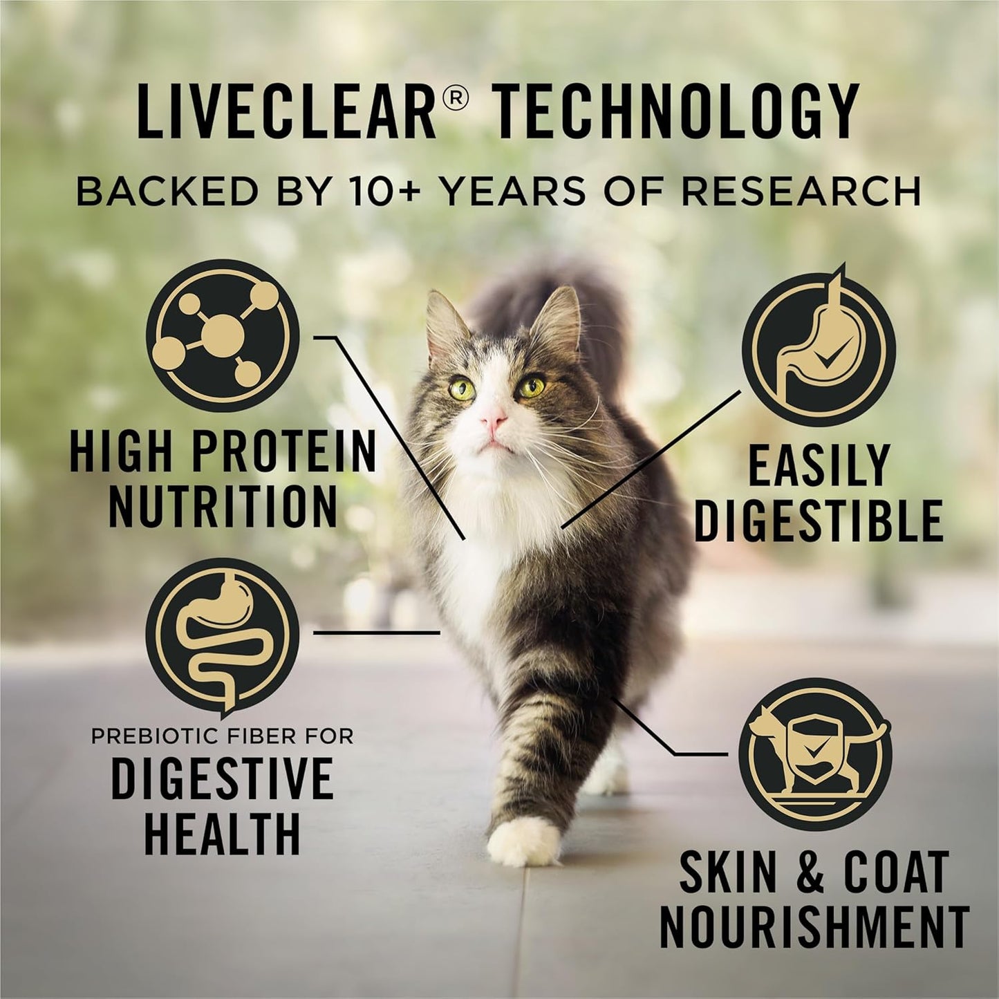 Allergen Reducing, Sensitive Skin & Stomach, High Protein Cat Food, LIVECLEAR Turkey and Oatmeal Formula - 5.5 Lb. Bag