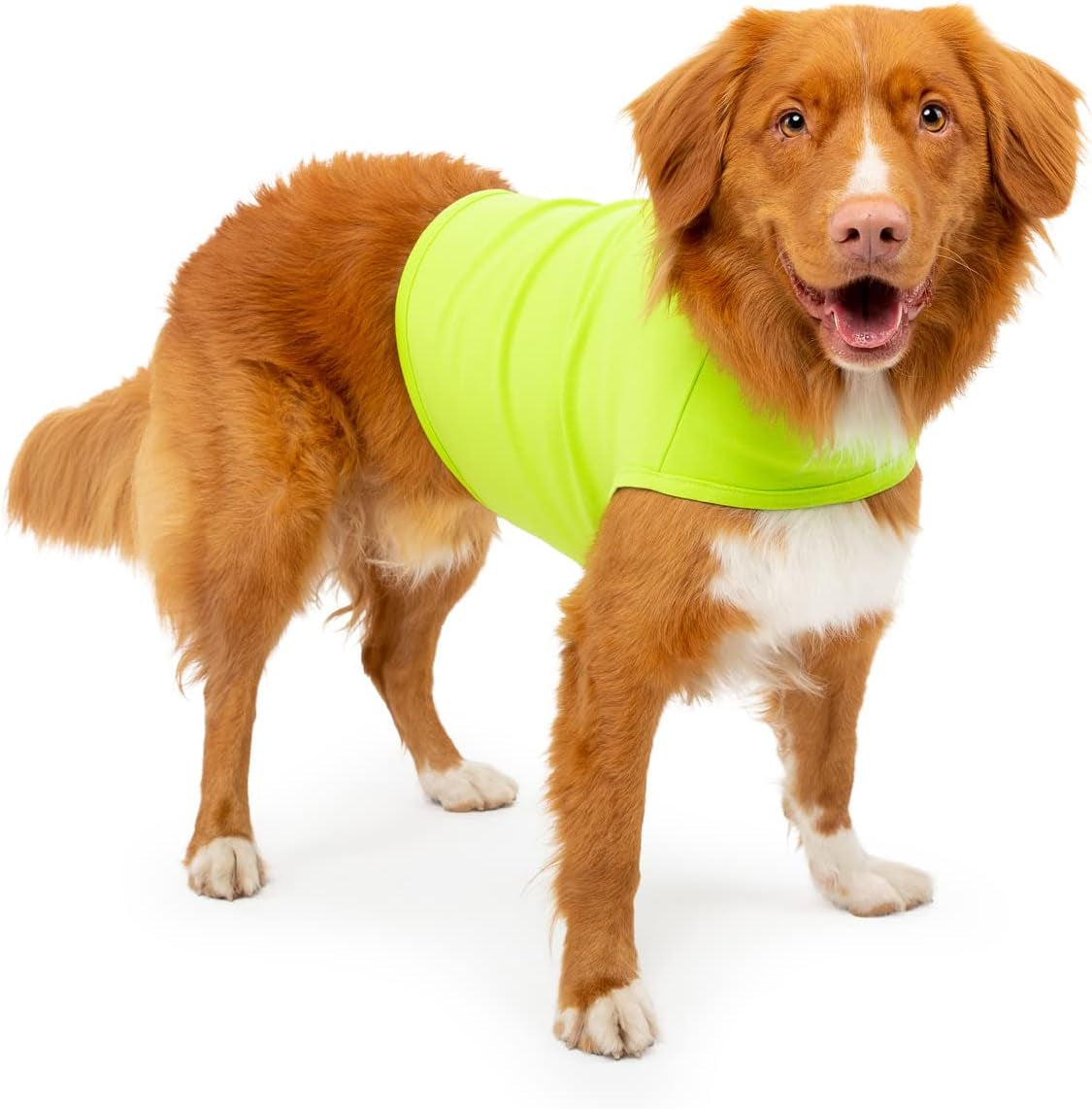 Dog Anxiety Calming Wrap, Small, Lime