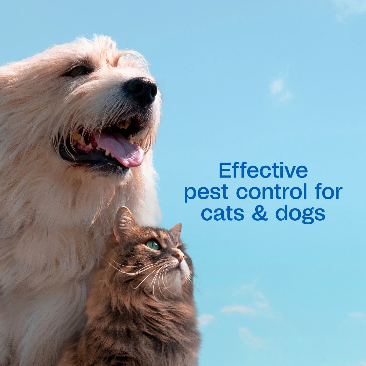 Flea & Tick Cleansing Shampoo for Dogs, Cats, 12 Fluid Ounces