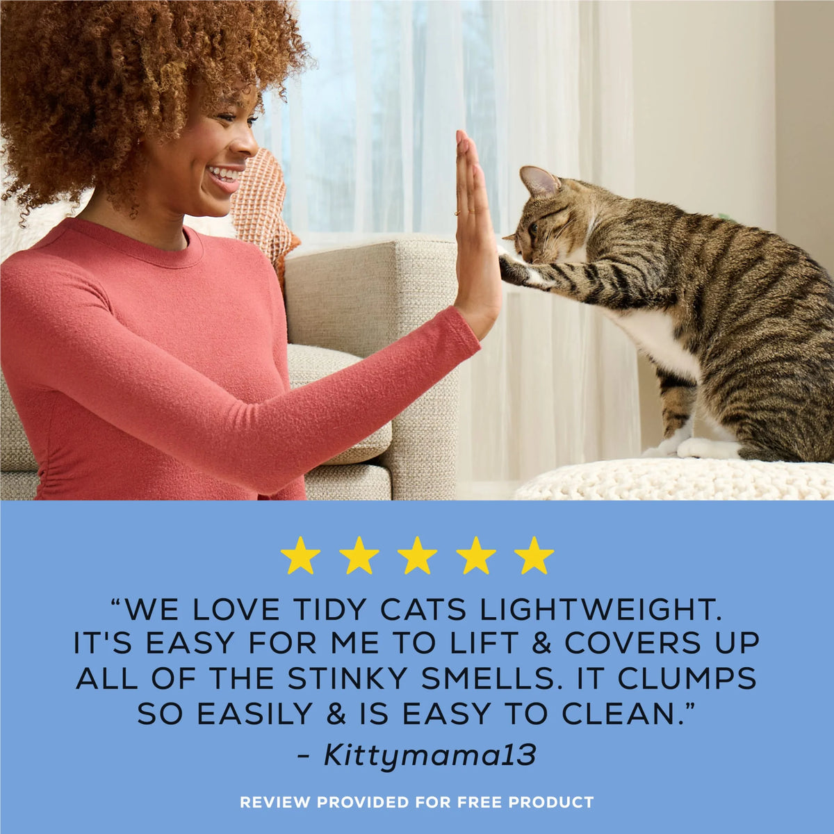 Purina  4-In-1 Strength Lightweight Cat Litter, Floral Scent, 8.5 Lb Jug