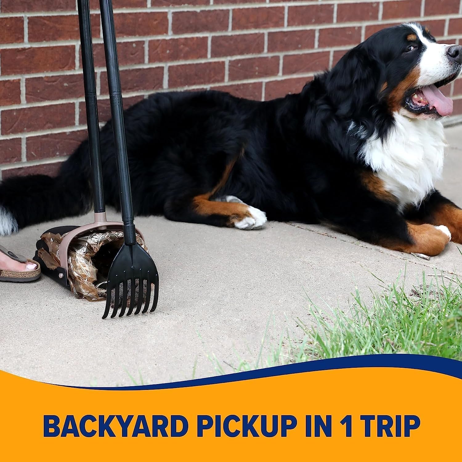 Dog Pooper Scooper Swivel Bin & Rake, Poop Scoop for Dogs, Black (2 Heavy Duty Scented Waste Bags Included)