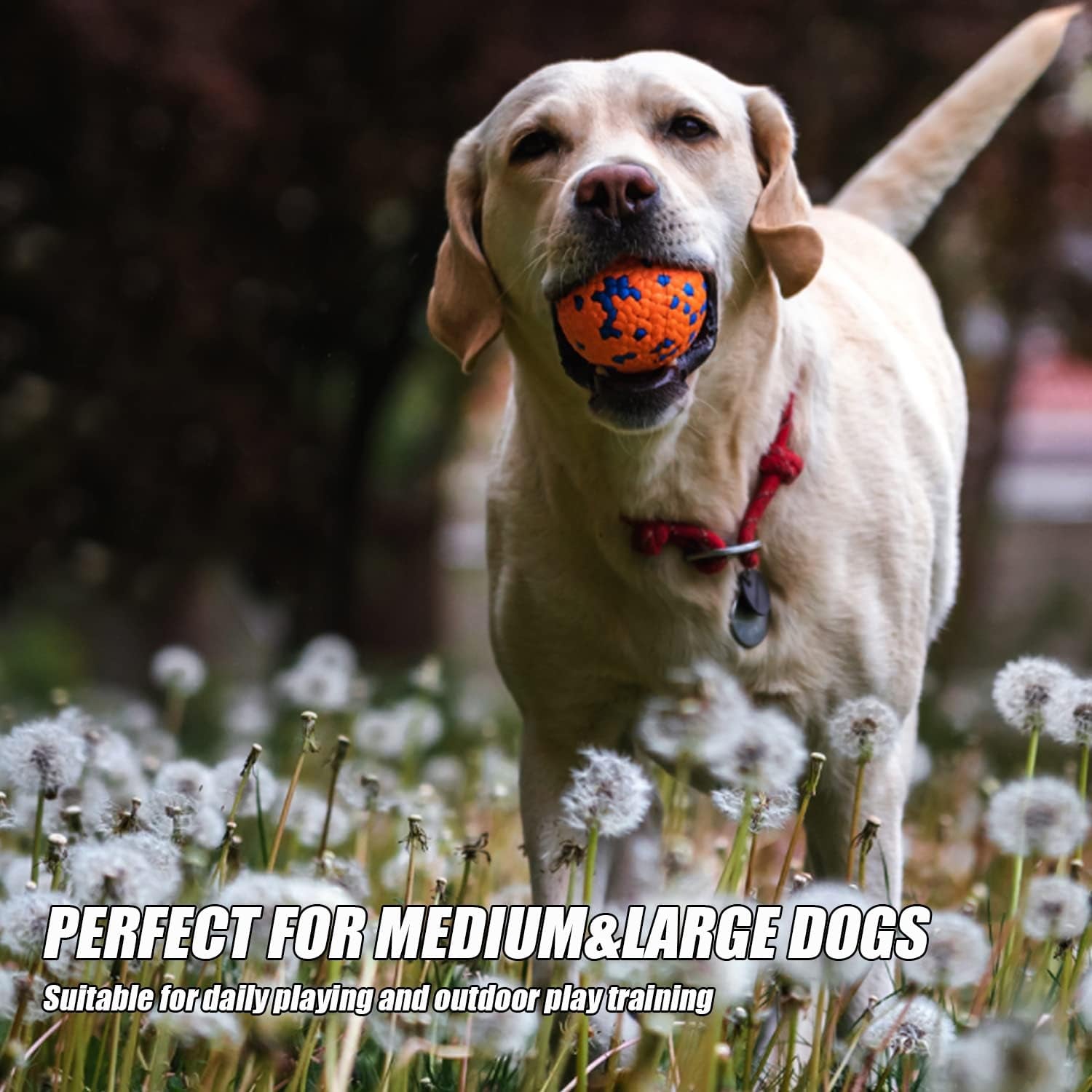 Balls Toy for Aggressive Chewers, Indestructible Bouncy Ball, Lightweight & Floating, Durable Chew Ball for Large & Medium Dogs to Fetch and Play
