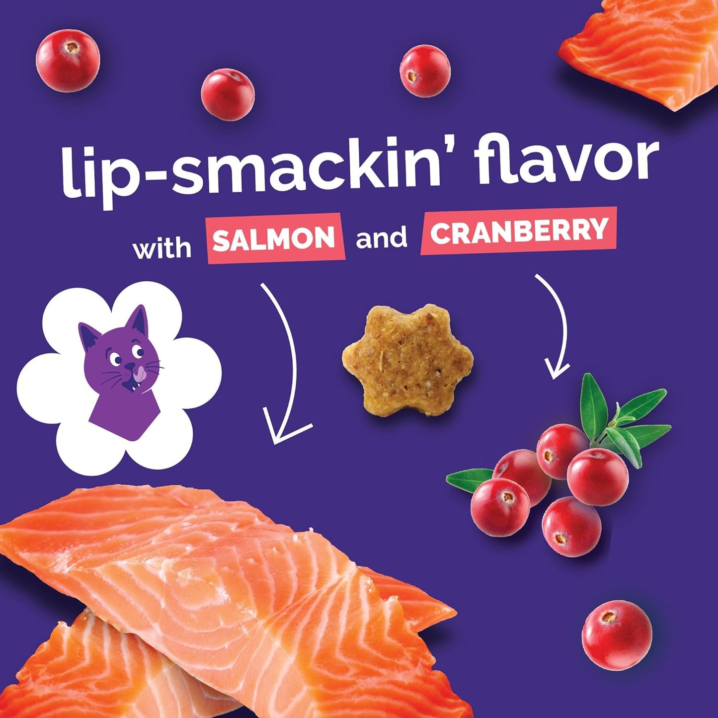 Cat Crunchy Treats for Cats – Healthy Low Calorie Packed with Protein – No Wheat, Corn or Soy – Made with Real Salmon with Cranberry – 2.5 Ounces