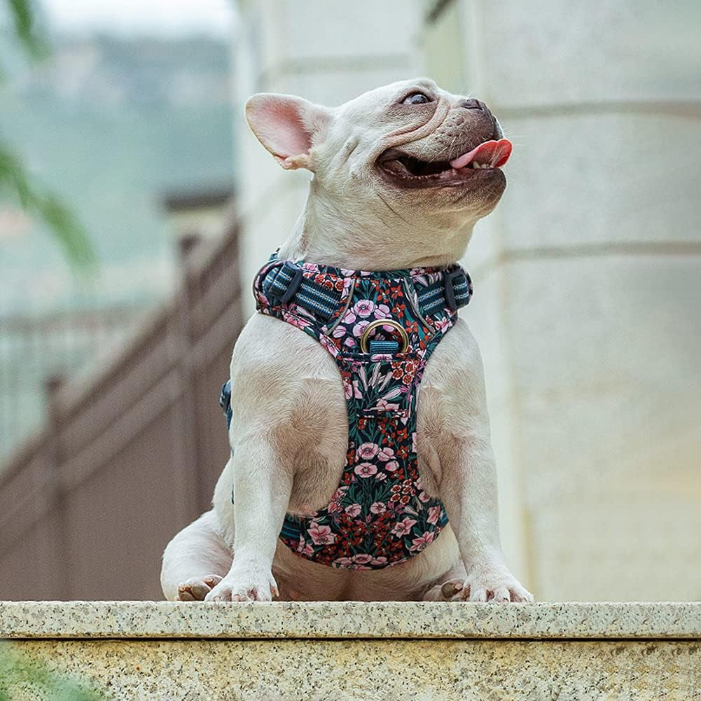 No Pull Dog Harness Reflective Dog Vest Harness with Handle Front Clip Neoprene Padded Dog Harness for Puppy Small Medium Large Dogs 3 Buckles Easy to Put on & Take off Floral Blue XS