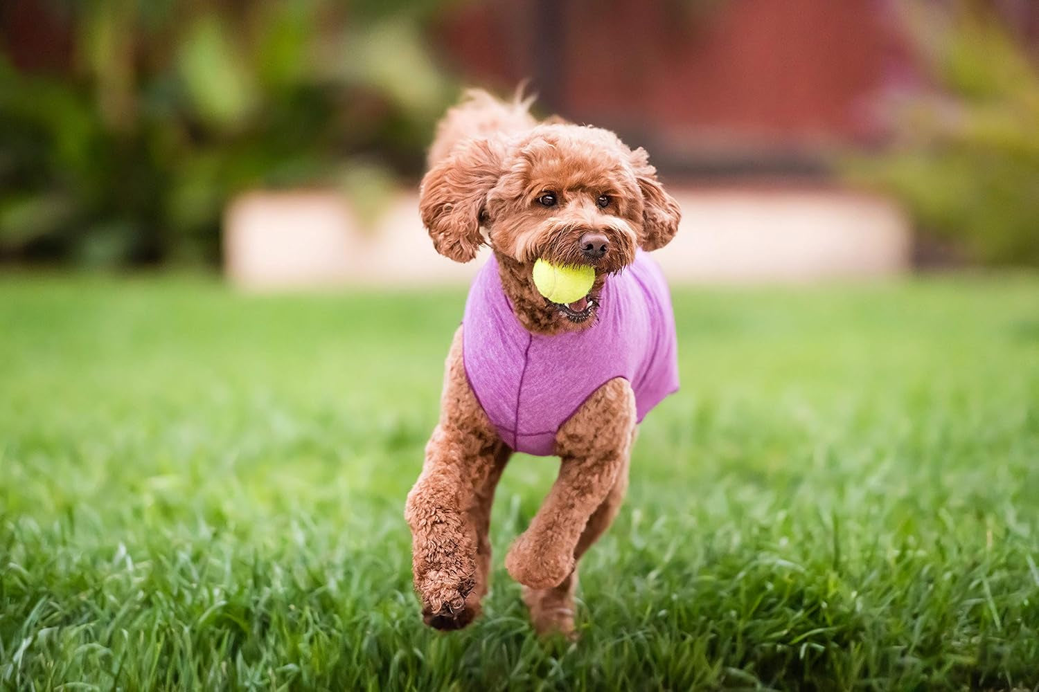 Goldpaw Dog Sun Shirt with UV Protection - Lightweight, Cooling Sun Protection Clothing for Dogs - Reduce Heat Absorption - Pet Clothes Made in the USA - Machine Washable - Violet - Size 20