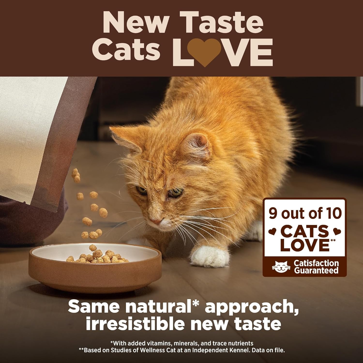 CORE+ Adult Dry Cat Food for Indoor Cats, Grain-Free, Natural, Chicken, Turkey & Chicken Meal (5 Pound Bag)
