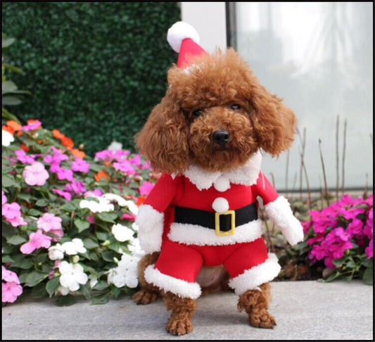 Pet Christmas Costumes Dog Suit with Cap Santa Claus Suit Dog Hoodies Cat Xmas Costumes (Red, M)
